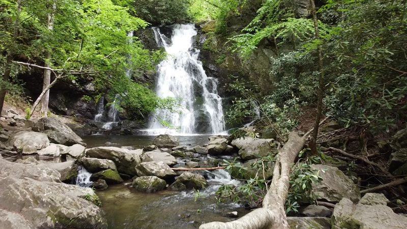 Spruce Flats Falls (Townsend)