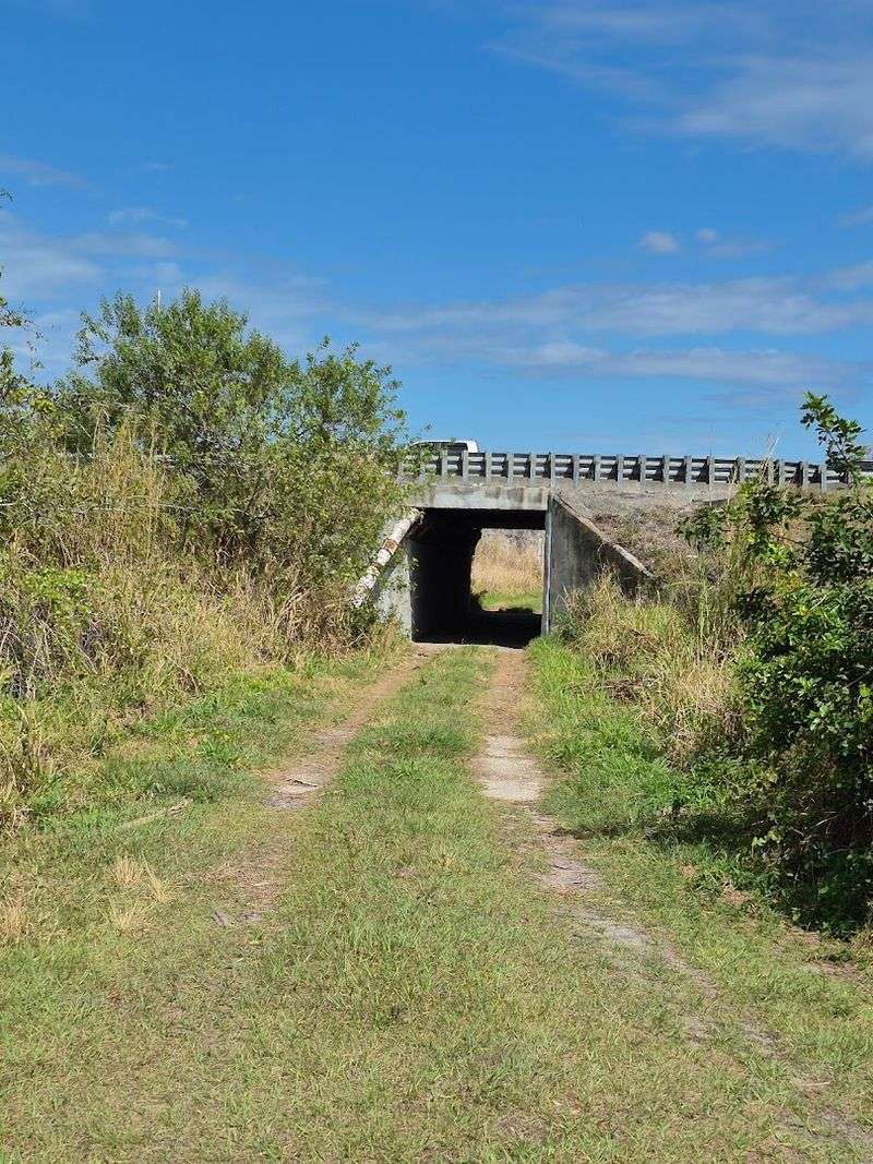 Ocean to Lake Hiking Trail (Hobe Sound Beach → Lake Okeechobee / Port Mayaca)