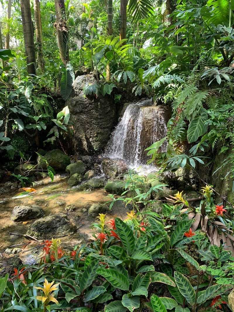 Fairchild Tropical Botanic Garden (Coral Gables)