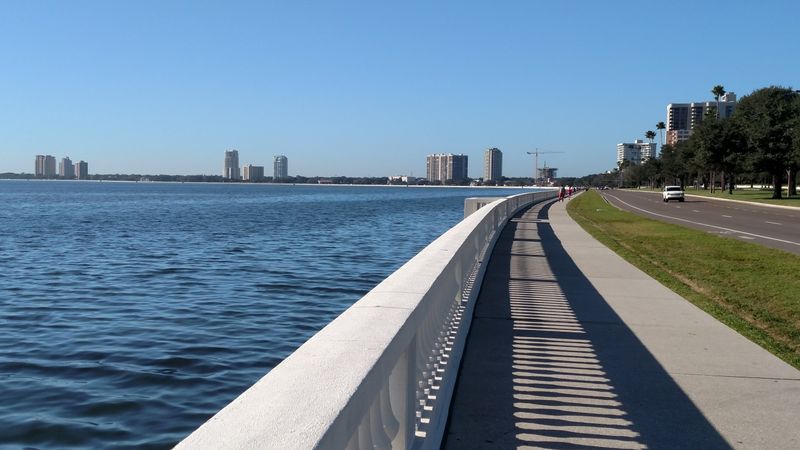 Walk or Jog Along Bayshore Boulevard