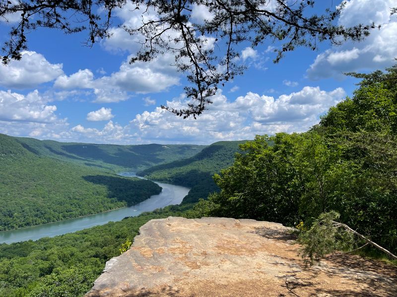 Snoopers Rock (Prentice Cooper State Forest)