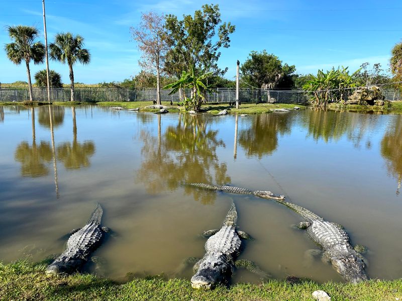 Big Cypress National Preserve