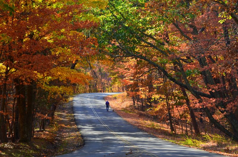 Panther Creek State Park