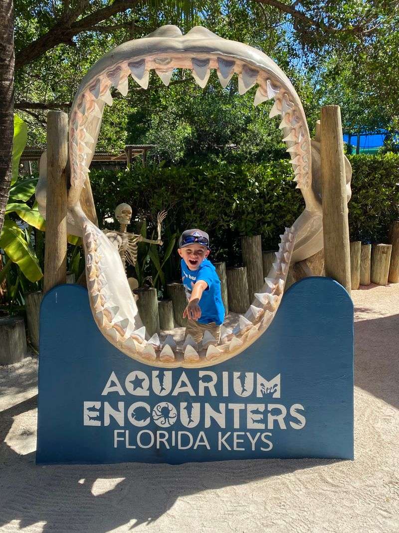 Florida Keys Aquarium Encounters (Marathon)