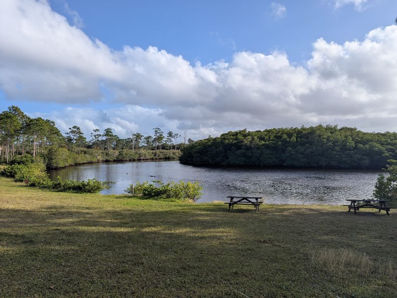 Alternative Campgrounds Near West Palm Beach and Loxahatchee