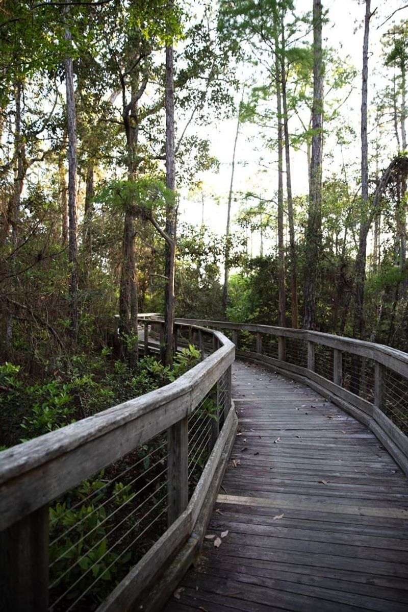 Pedal-friendly Paths and Scenic Biking