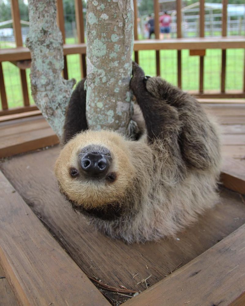 The Ultimate Experience Tour