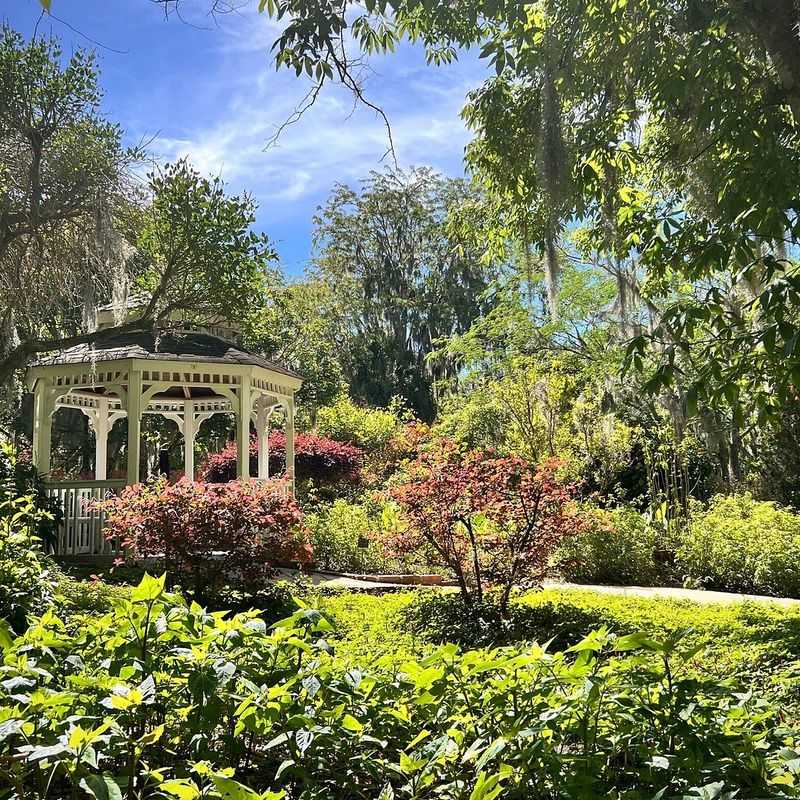 Seasonal Blooms and Best Times to Visit