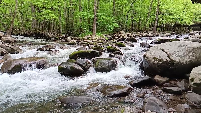 A Peaceful Smoky Mountains Escape
