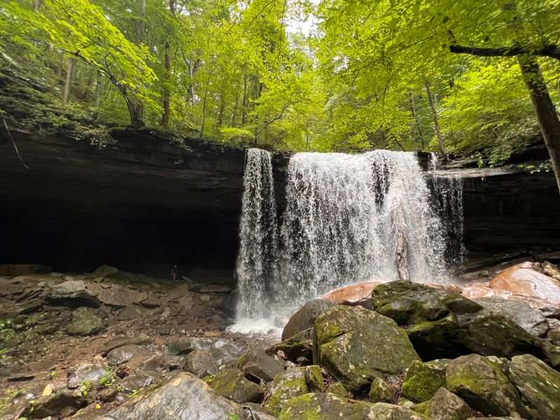 Virgin Falls Pocket Wilderness (Big Laurel Falls Trail)