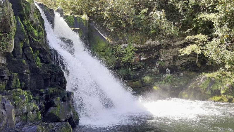 Abrams Falls (Great Smoky Mountains National Park)