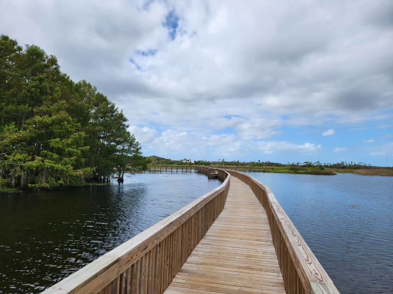 The Orlando Wetlands Boardwalk in Winter Fog