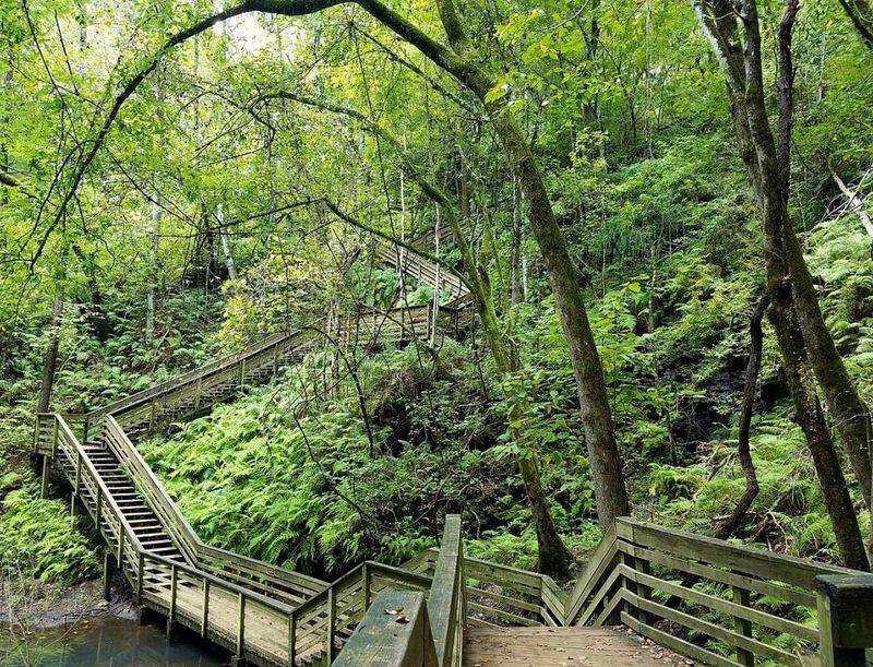 Devil’s Millhopper Surrounding Trails (Gainesville)