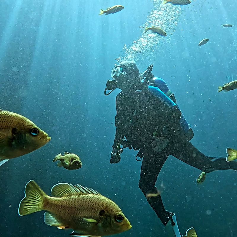 Blue Grotto Dive Resort (Williston)