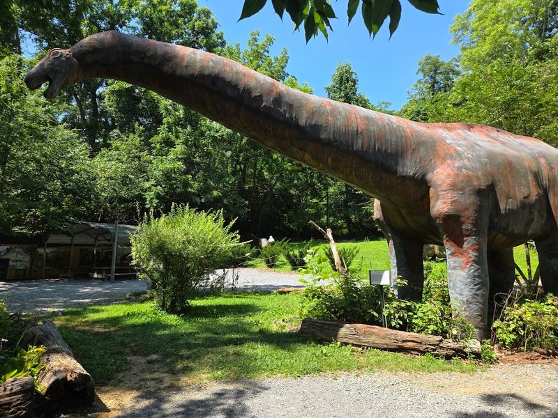 A Prehistoric Surprise in Bluff City