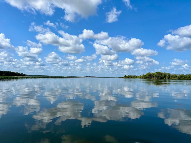 Wildlife River Cruise