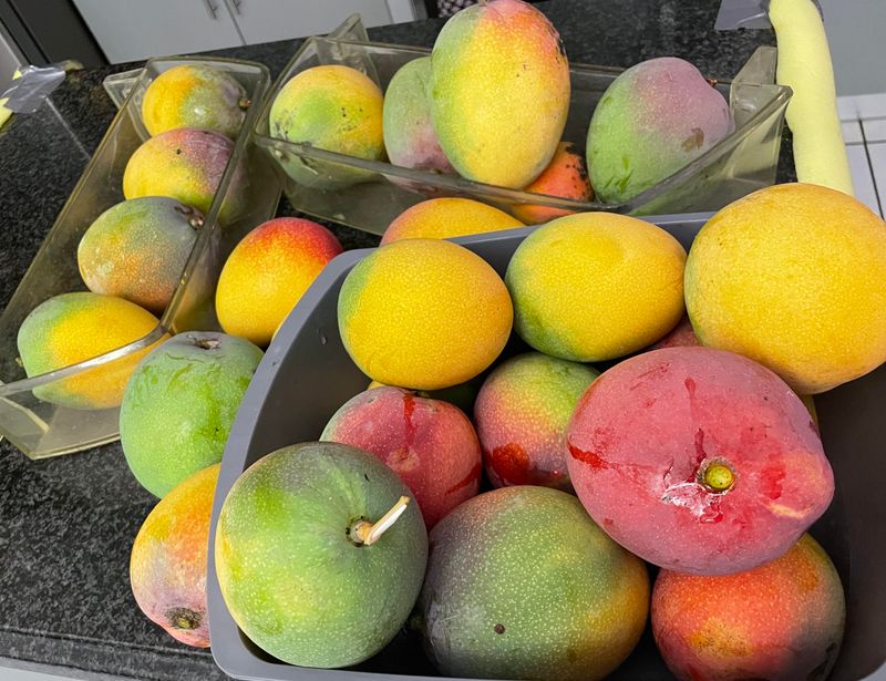 Mangoes