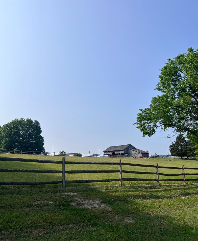 Life on the Frontier: What Daily Living Looked Like Here