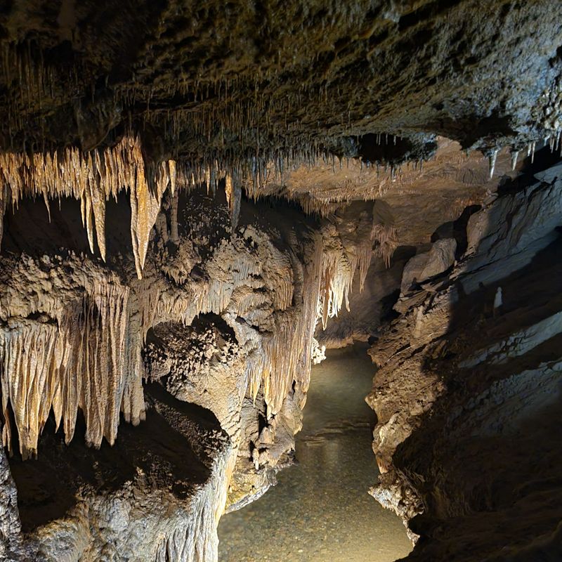 Tuckaleechee Caverns (Townsend)