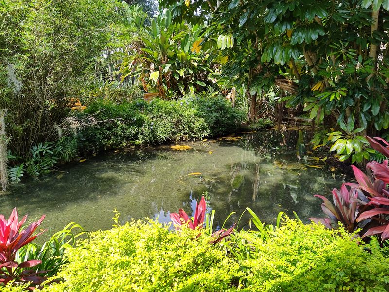 Mala Compra Trail (Washington Oaks Gardens State Park)