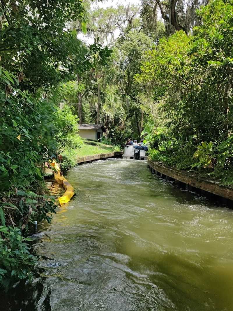 Best Times And Conditions