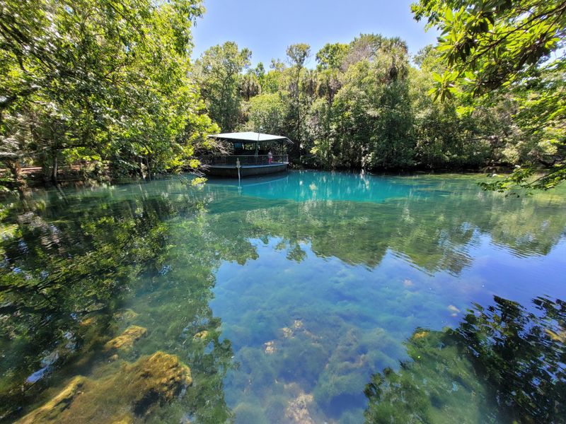 Homosassa Springs Wildlife State Park