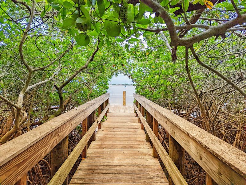 Banyan Grove and Children’s Canopy Walk