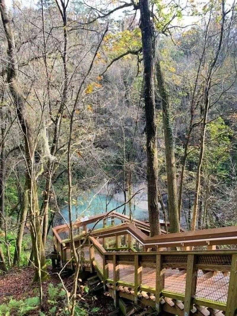 Devil’s Millhopper Geological State Park (Gainesville)