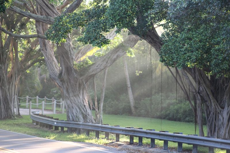 Photography Tips For Dreamy Shots