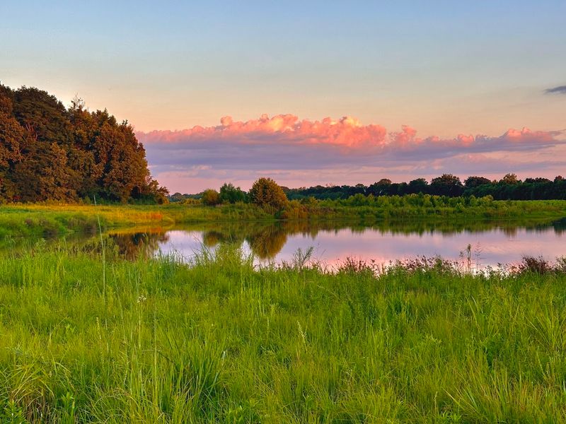 Middle Fork Bottoms State Park (2024)