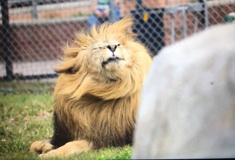 Why Families Love It Here