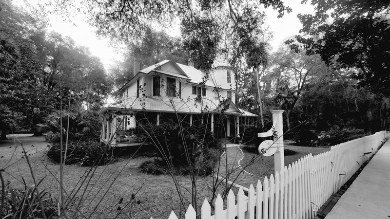 A Quick Look at Micanopy’s Story