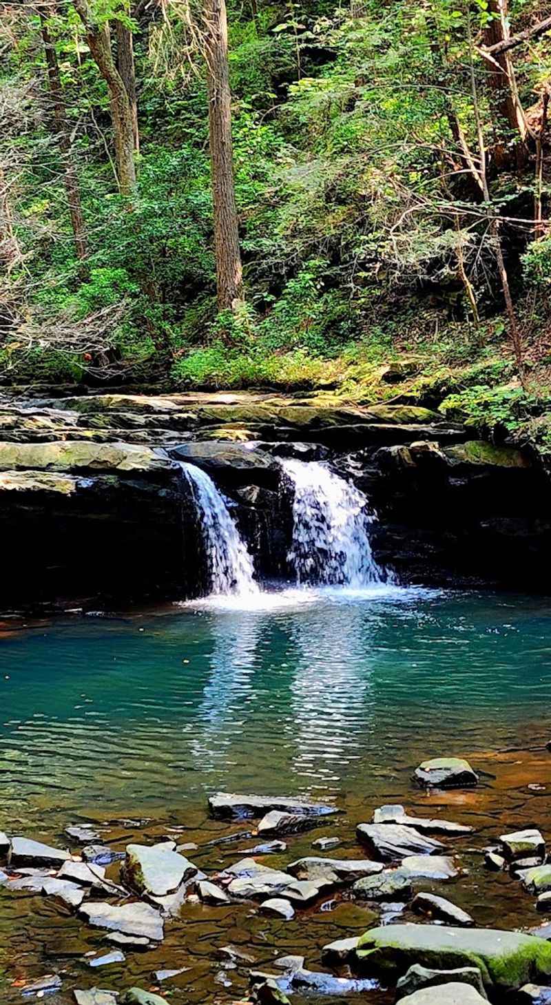 Fiery Gizzard State Park &mdash; Monteagle