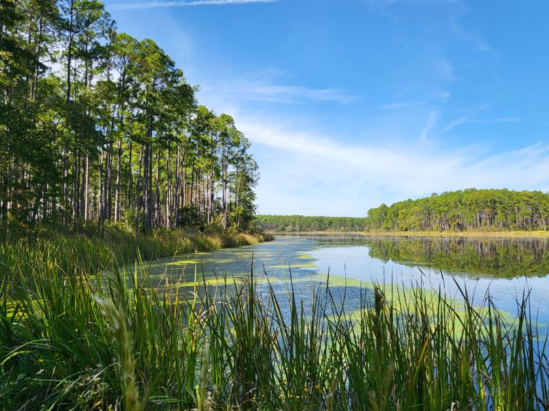 Yellow River Ravines Trail 