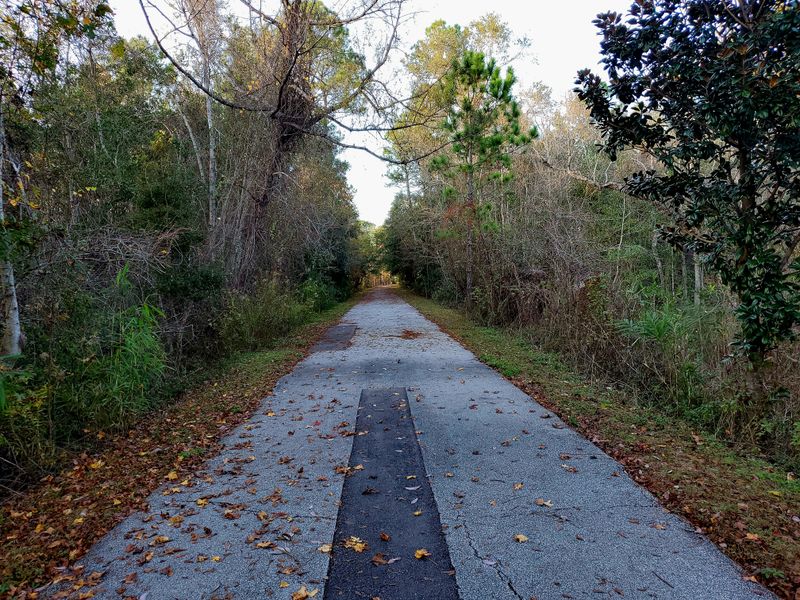 Blackwater Heritage State Trail (Milton)