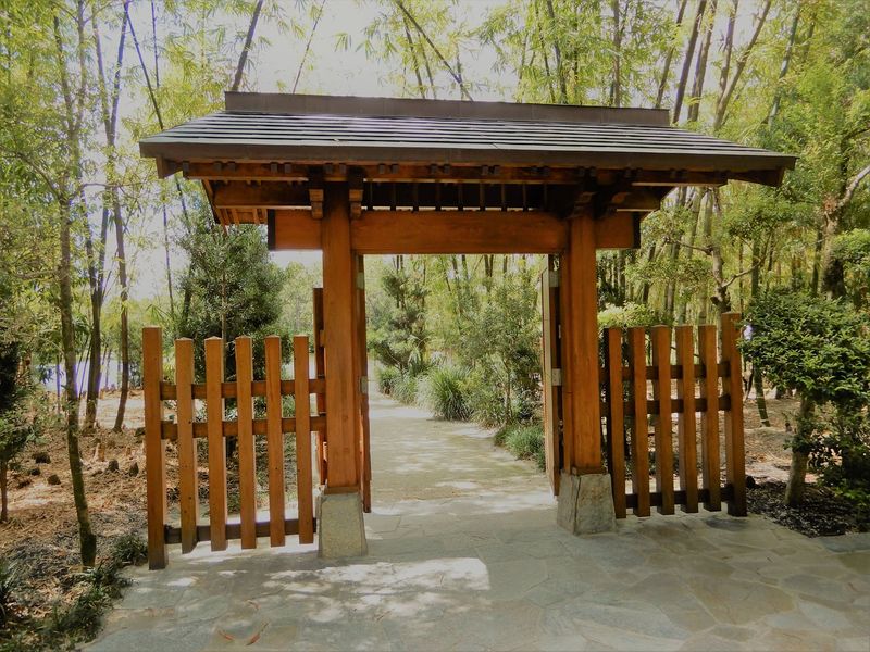 Spend an afternoon in Japan—without leaving Florida (Morikami Museum & Japanese Gardens)