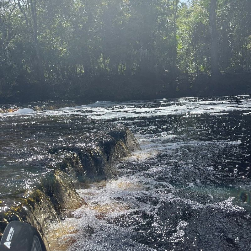 Steinhatchee Falls (Taylor County)