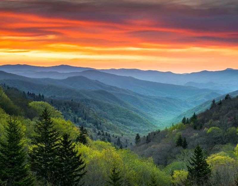 Great Smoky Mountains National Park (Gatlinburg / Townsend)
