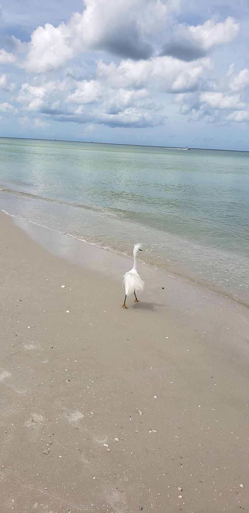 Via Miramar Beach Access