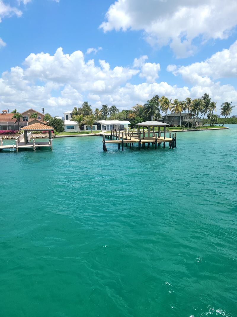 How to See Dolphins Respectfully (And Legally)