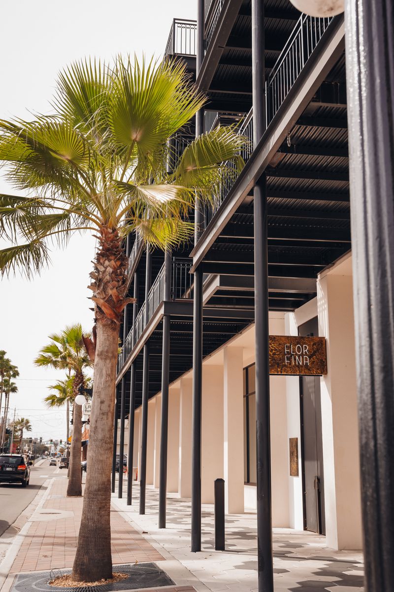 Location Perks: Streetcar, Museums, and Nightlife