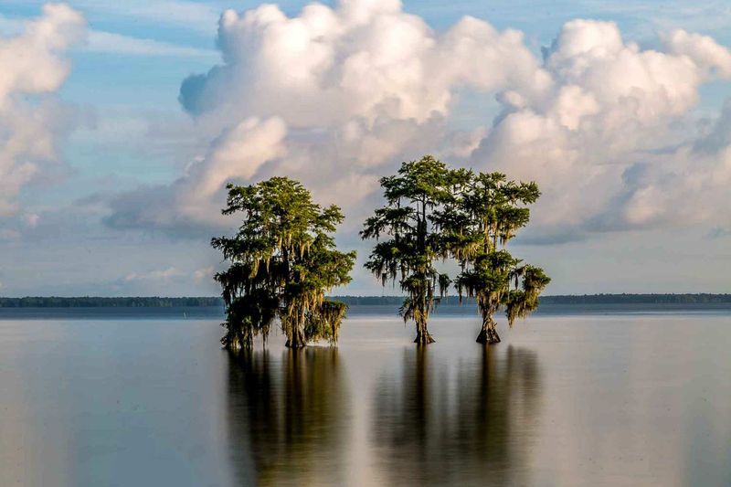 Lake Moultrie