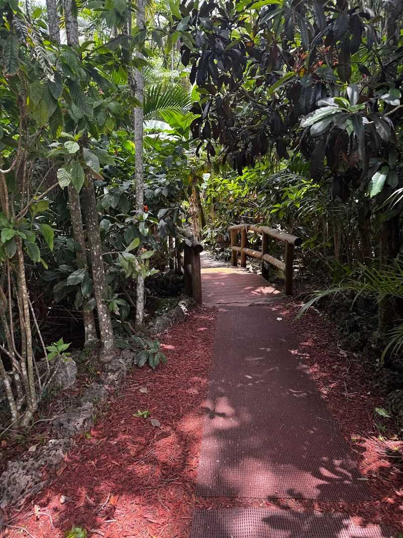 Feeding Ritual: Bowls on Chains