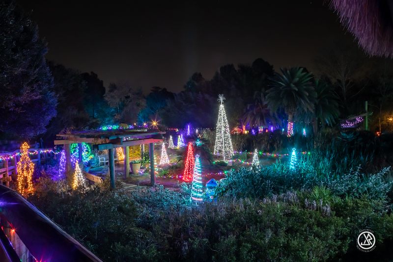 Jacksonville Zoo’s ZOOLights