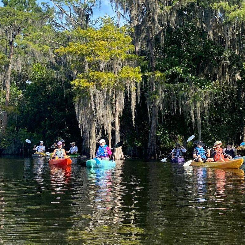 Winter Park Chain of Lakes (launch at Dinky Dock Park)