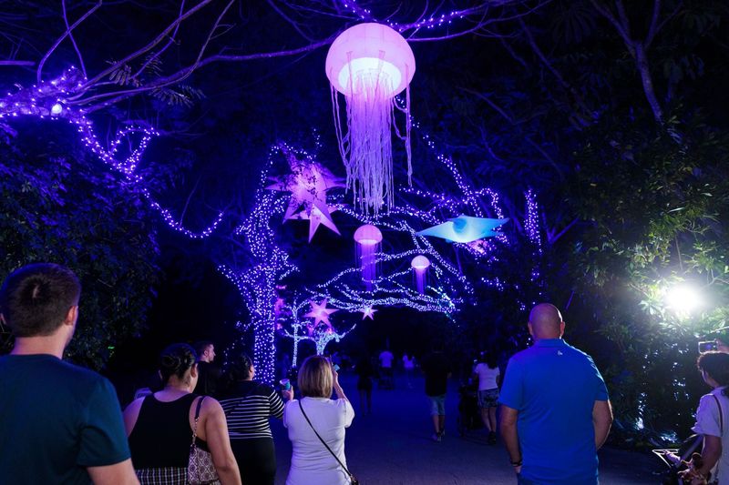 Zoo Lights Miami