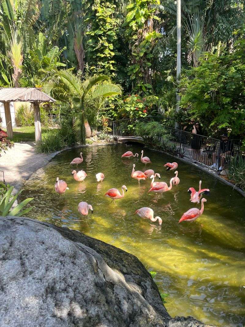 Practical Tips: Hours, Tickets, and Parking