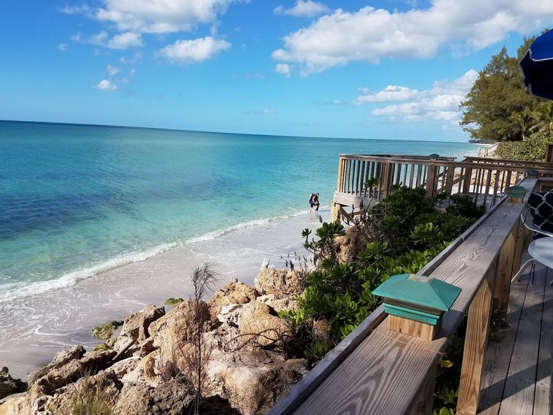 Birding and Dolphin Spotting Eco Tours