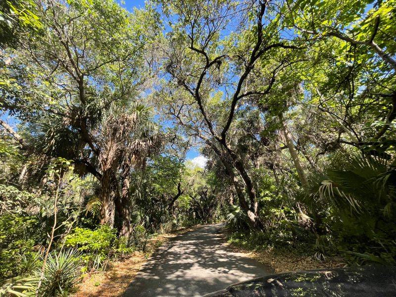 John D. MacArthur Beach State Park Nature Trails (North Palm Beach)