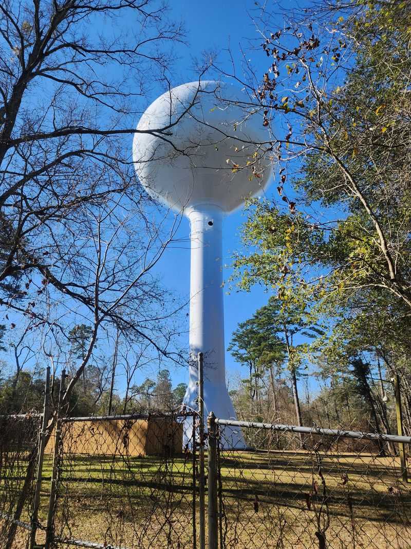 Miccosukee Canopy Roads / Canopy Road Greenway 